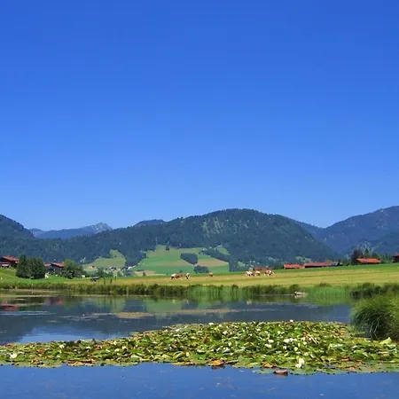 Guest house Demelhof 4*