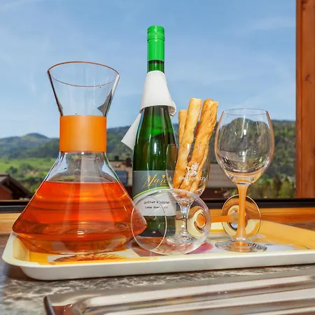 Guest house Demelhof 4*